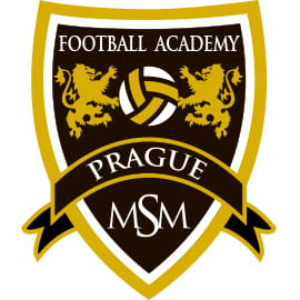 международная футбольная академия МСМ